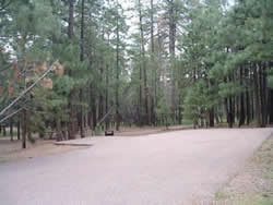 Canyon point Campground